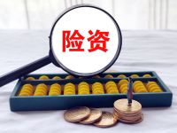 险资股票配比创新高 2026年将继续加码权益市场